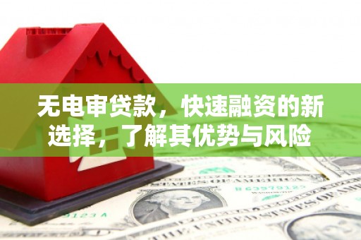 东乌旗无电审贷款，快速融资的新选择，了解其优势与风险