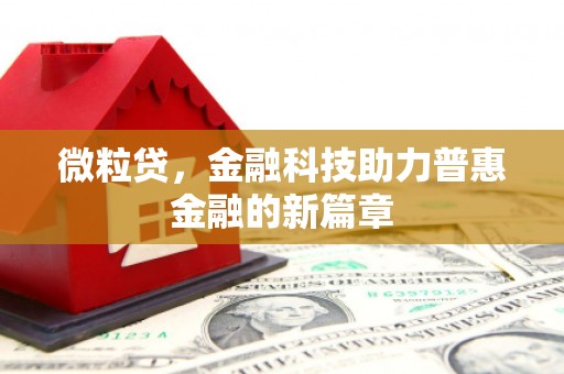 东乌旗微粒贷，金融科技助力普惠金融的新篇章