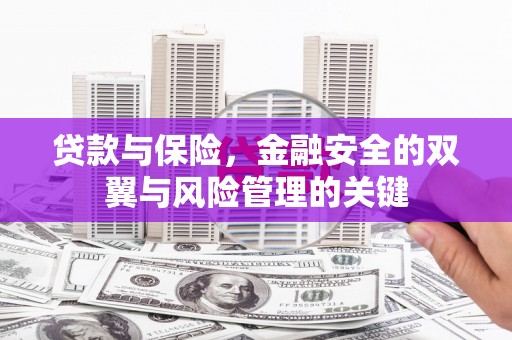 东乌旗贷款与保险，金融安全的双翼与风险管理的关键