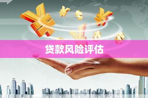 东乌旗贷款风险评估