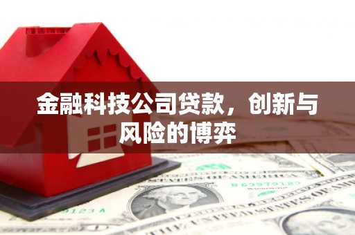 东乌旗金融科技公司贷款，创新与风险的博弈