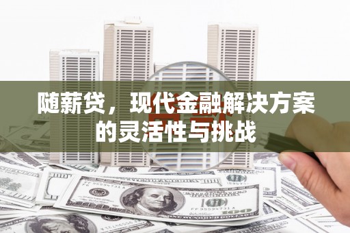 东乌旗随薪贷，现代金融解决方案的灵活性与挑战