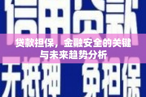 东乌旗贷款担保，金融安全的关键与未来趋势分析