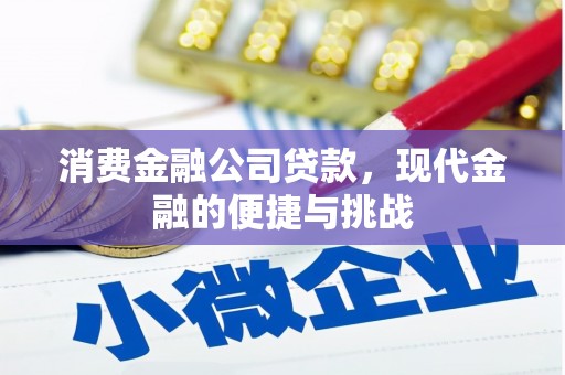 东乌旗消费金融公司贷款，现代金融的便捷与挑战