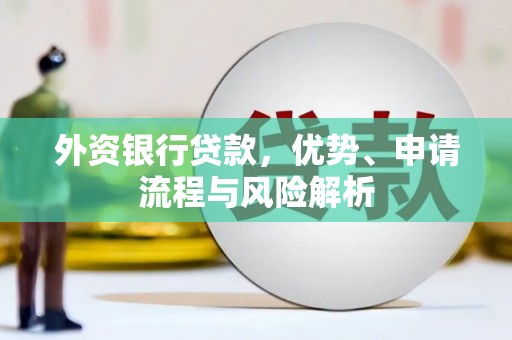 东乌旗外资银行贷款，优势、申请流程与风险解析