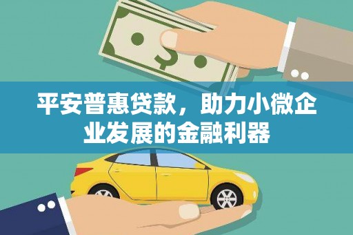 东乌旗平安普惠贷款，助力小微企业发展的金融利器