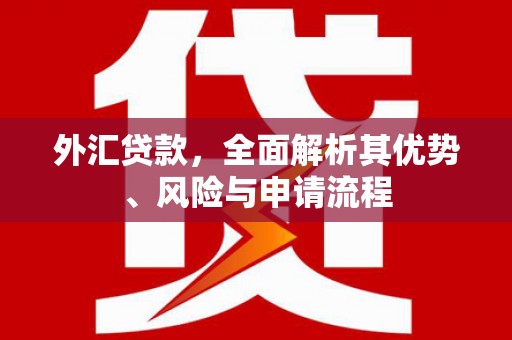 东乌旗外汇贷款，全面解析其优势、风险与申请流程