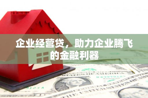东乌旗企业经营贷，助力企业腾飞的金融利器