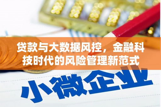 东乌旗贷款与大数据风控，金融科技时代的风险管理新范式