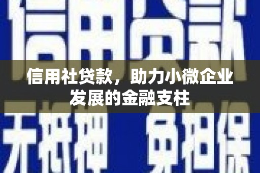 东乌旗信用社贷款，助力小微企业发展的金融支柱