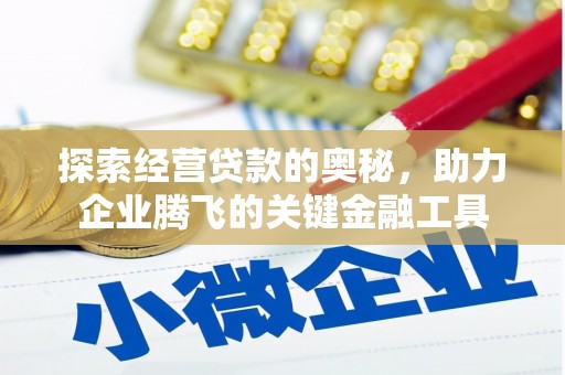 东乌旗探索经营贷款的奥秘，助力企业腾飞的关键金融工具