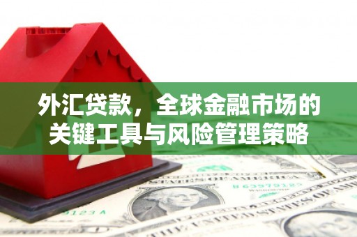 东乌旗外汇贷款，全球金融市场的关键工具与风险管理策略