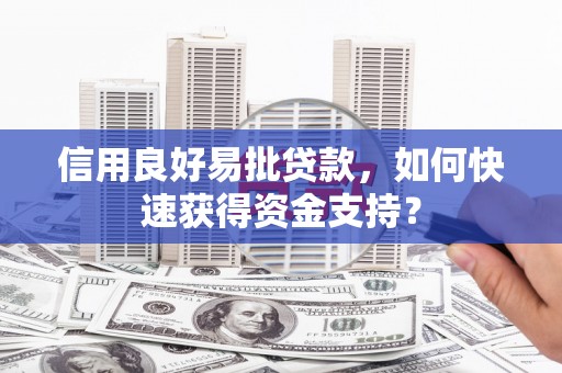 东乌旗信用良好易批贷款，如何快速获得资金支持？