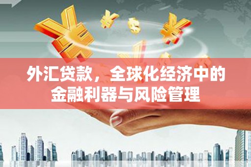 东乌旗外汇贷款，全球化经济中的金融利器与风险管理