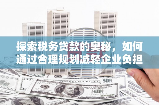 东乌旗探索税务贷款的奥秘，如何通过合理规划减轻企业负担