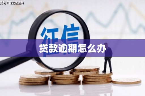 东乌旗贷款逾期怎么办