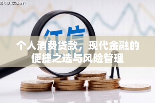 东乌旗个人消费贷款，现代金融的便捷之选与风险管理