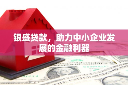 东乌旗银盛贷款，助力中小企业发展的金融利器