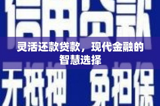 东乌旗灵活还款贷款，现代金融的智慧选择