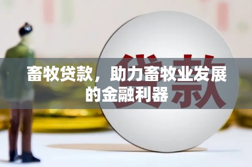 东乌旗畜牧贷款，助力畜牧业发展的金融利器