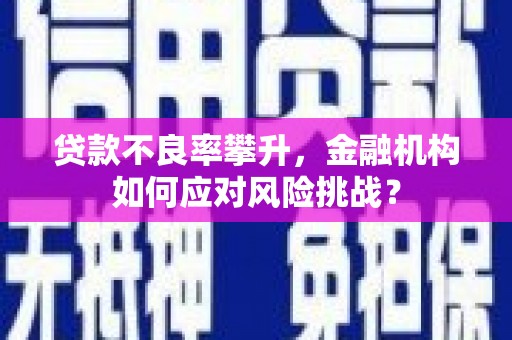 东乌旗贷款不良率攀升，金融机构如何应对风险挑战？