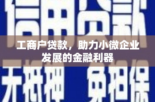 东乌旗工商户贷款，助力小微企业发展的金融利器
