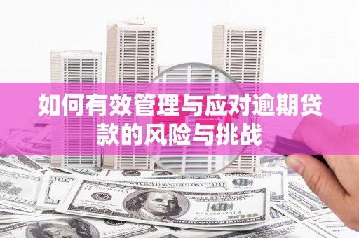 东乌旗如何有效管理与应对逾期贷款的风险与挑战