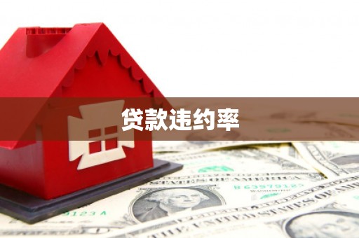 东乌旗贷款违约率