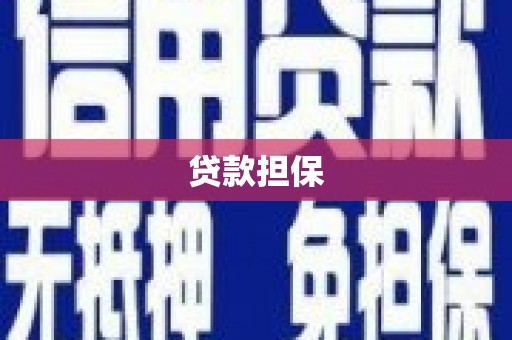 东乌旗贷款担保