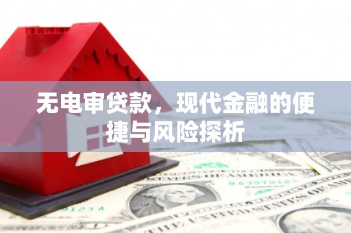 东乌旗无电审贷款，现代金融的便捷与风险探析