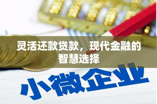 东乌旗灵活还款贷款，现代金融的智慧选择