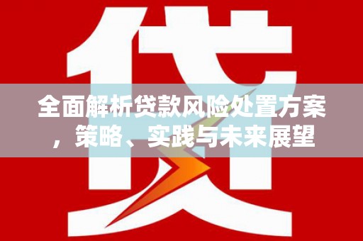 东乌旗全面解析贷款风险处置方案，策略、实践与未来展望