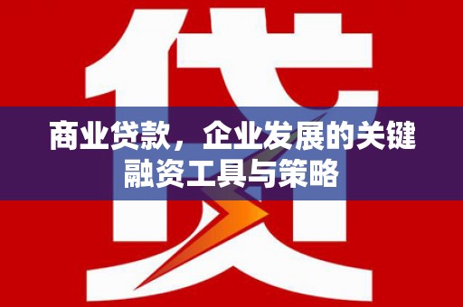 东乌旗商业贷款，企业发展的关键融资工具与策略