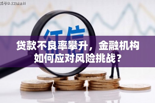 东乌旗贷款不良率攀升，金融机构如何应对风险挑战？