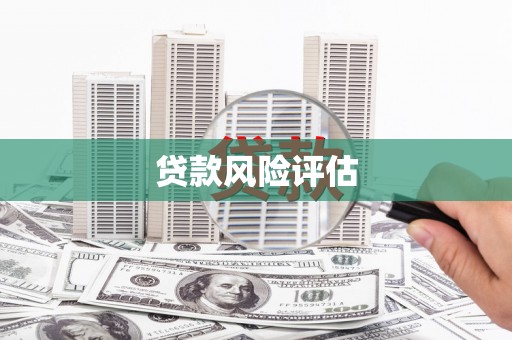 东乌旗贷款风险评估