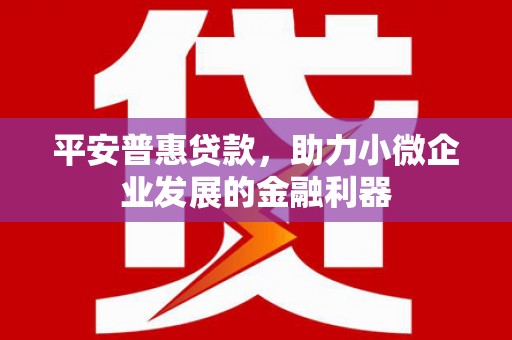 东乌旗平安普惠贷款，助力小微企业发展的金融利器