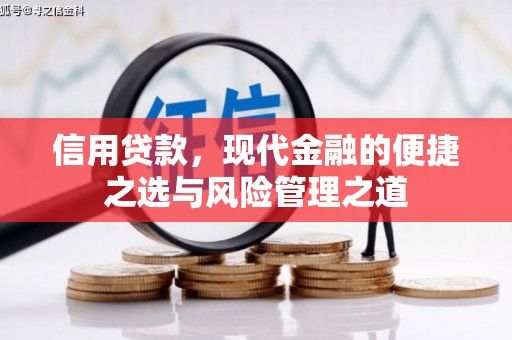 东乌旗信用贷款，现代金融的便捷之选与风险管理之道
