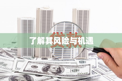 东乌旗了解其风险与机遇