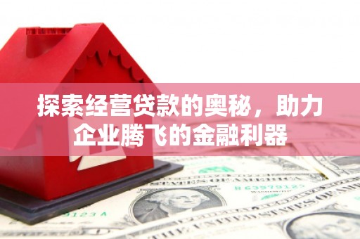 东乌旗探索经营贷款的奥秘，助力企业腾飞的金融利器