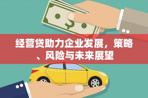 东乌旗经营贷助力企业发展，策略、风险与未来展望