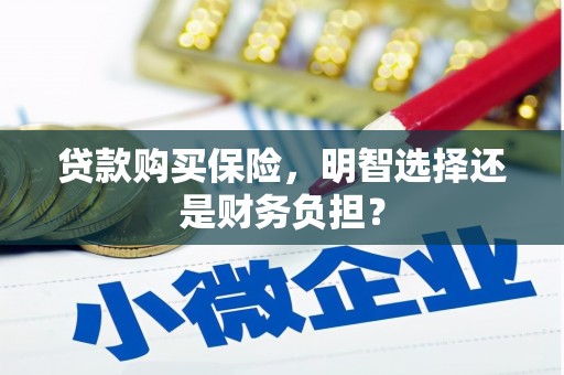 东乌旗贷款购买保险，明智选择还是财务负担？