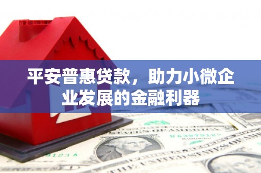 东乌旗平安普惠贷款，助力小微企业发展的金融利器