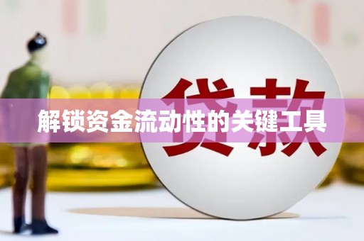东乌旗解锁资金流动性的关键工具
