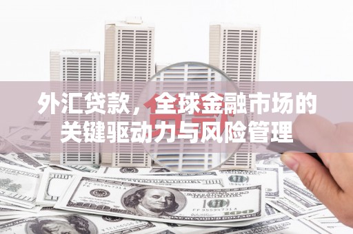 东乌旗外汇贷款，全球金融市场的关键驱动力与风险管理
