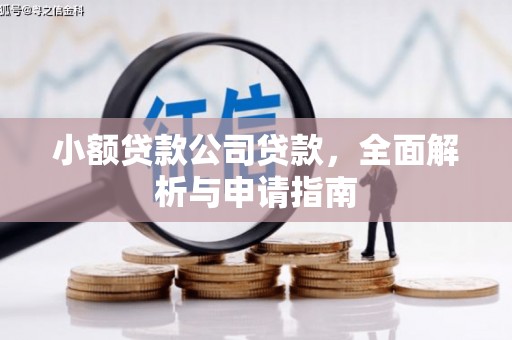 东乌旗小额贷款公司贷款，全面解析与申请指南