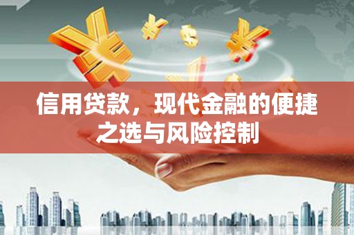 东乌旗信用贷款，现代金融的便捷之选与风险控制