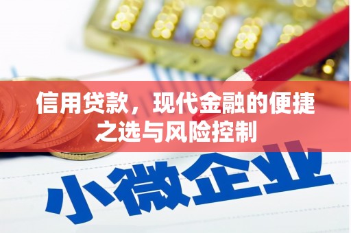 东乌旗信用贷款，现代金融的便捷之选与风险控制