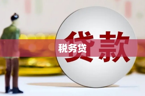 东乌旗税务贷