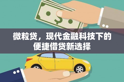 东乌旗微粒贷，现代金融科技下的便捷借贷新选择