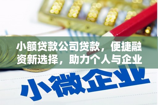 东乌旗小额贷款公司贷款，便捷融资新选择，助力个人与企业成长